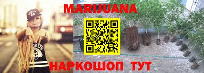 сатива Пушкино