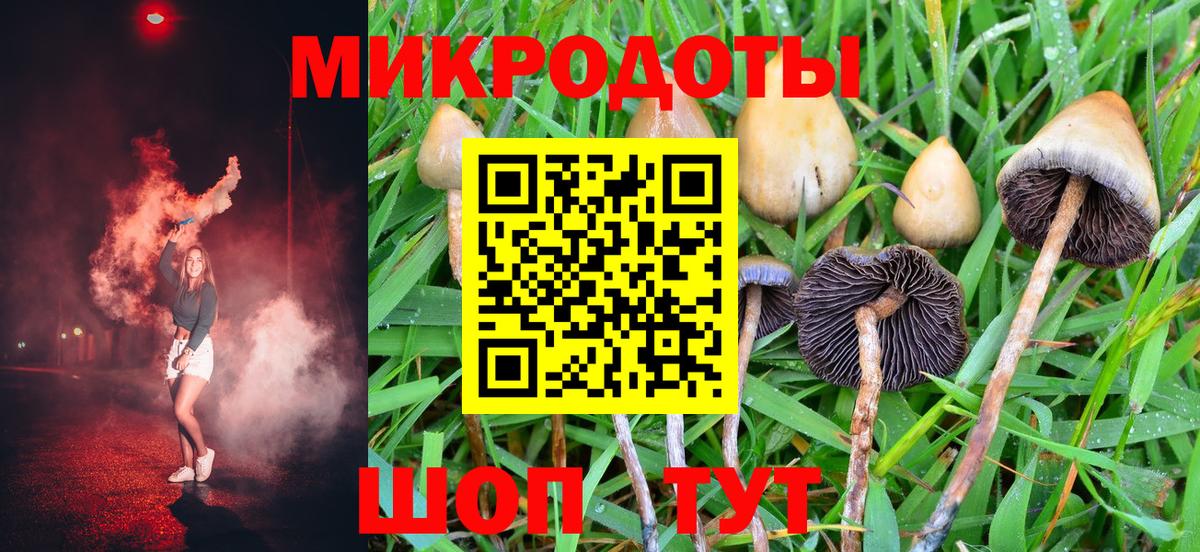 цена   Галлюциногенные грибы GOLDEN TEACHER  Вход с VPN  Галлюциногенные грибы GOLDEN TEACHER  Тайшет 